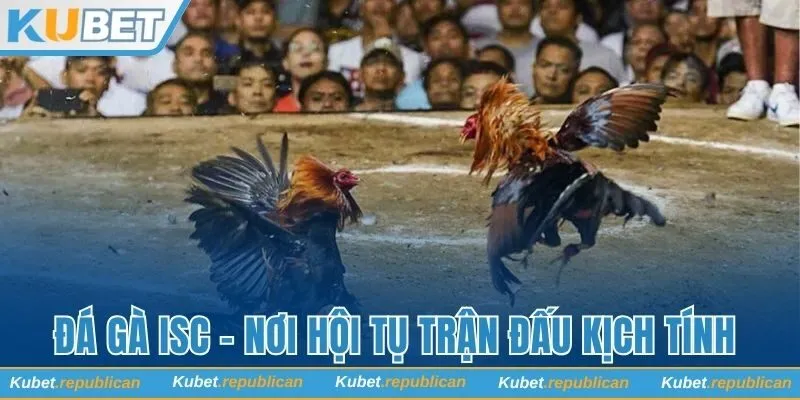 đá gà ISC
